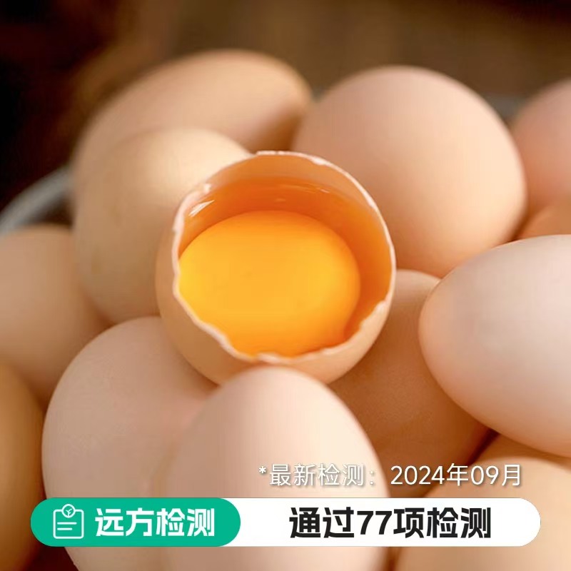 山养土鸡蛋
